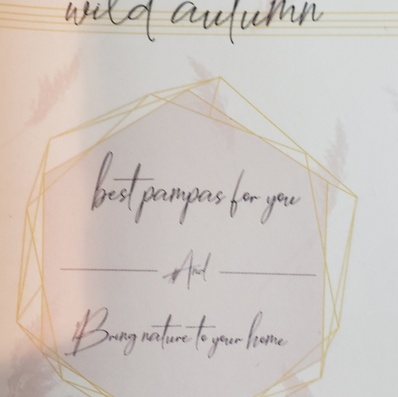 Wild Autumn Natural Pampas Grass Decorations - Bring Nature Into Your Home - Picture 3 of 3